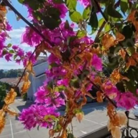 Oasis Holiday Villages-duplex House In A Luxury In Nature *